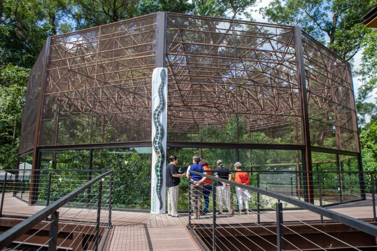 Visitantes observam o novo recinto ao ar livre para sucuris no Parque da Ciência Butantan