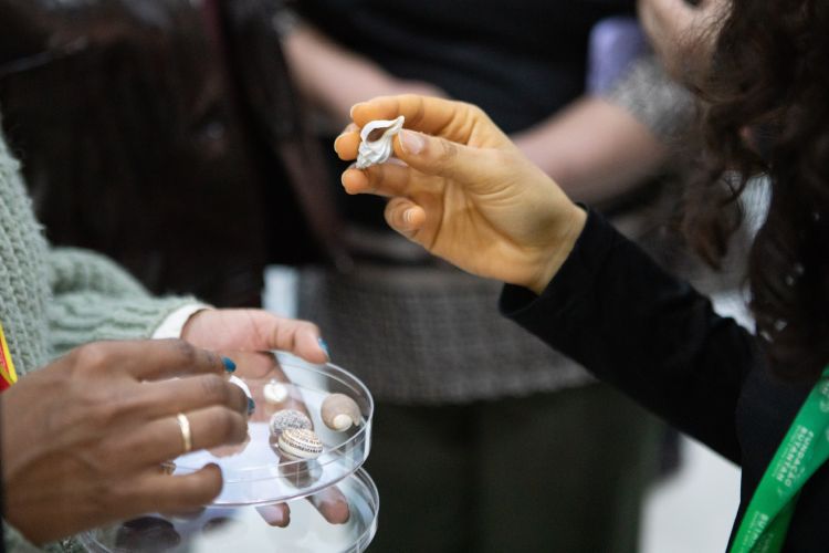 imagem de uma mão segurando uma pequena concha