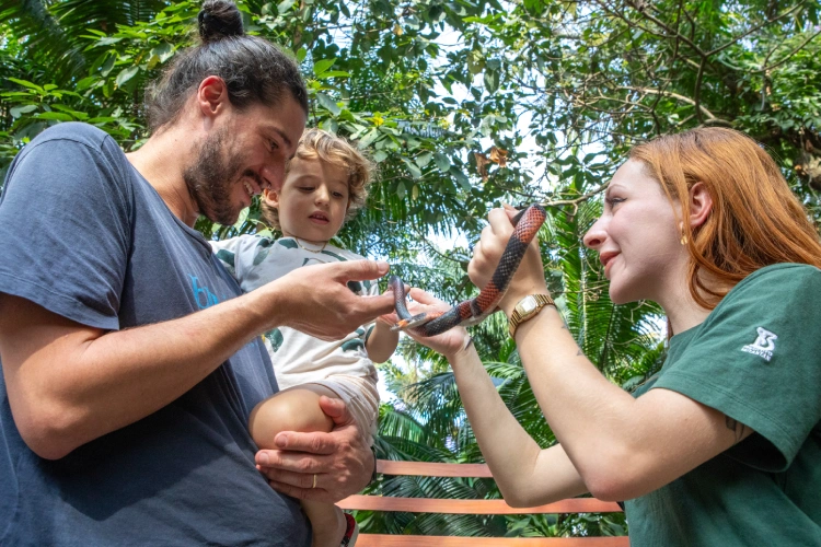 Pai e filho se divertem ao conhecer de perto a cobra coral