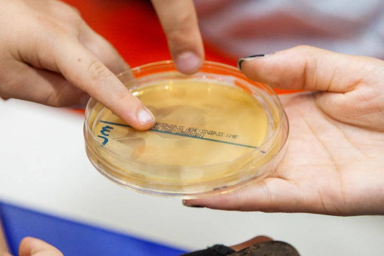 Crianças segurando placa de petri