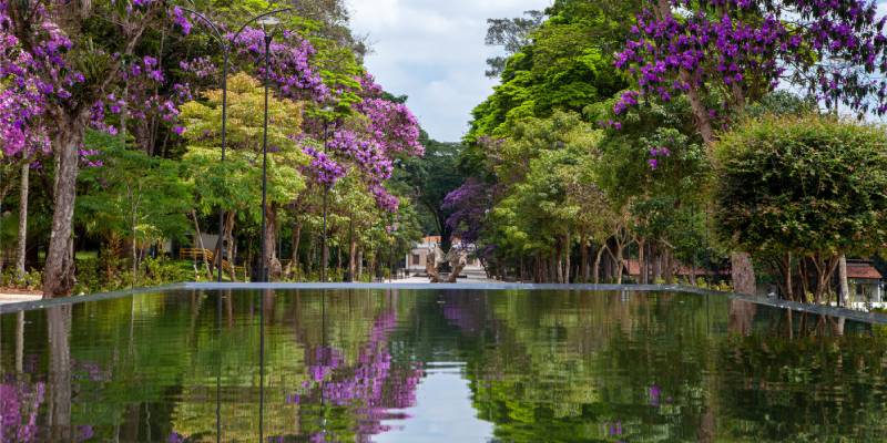 Boulevard - Parque da Ciência